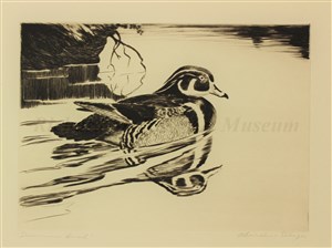 Image description is not available for FIC.075